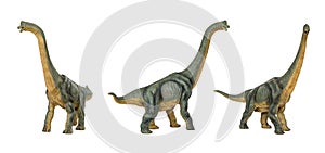 Set Dinosaur long necked sauropod diermibot breed name Brachiosaurus