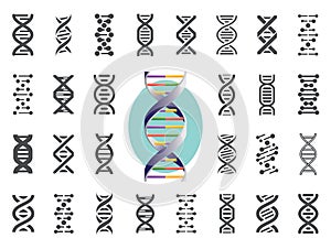 Set of DNA icons. Human genetic variation. Vector illustration. photo