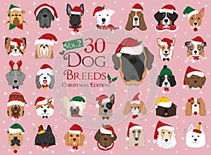 30 dog breeds with Christmas and winter themes. Set 2 photo