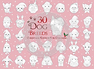 Set of 30 dog breeds for coloring with Christmas and winter themes