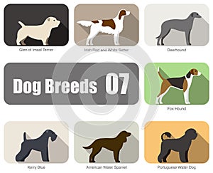 Set of dog breeds flat icon design, vector illustration