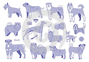 Set of dog breeds. Vector collection. Doodle illustration