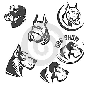 Set of the dog heads icons isolated on white background. Images