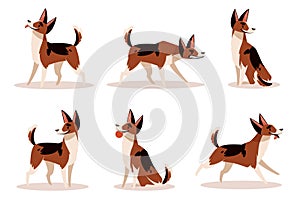 Set of dog poses. Happy and angry pet sitting, standing and running. Domestic animal different emotions. Purebred