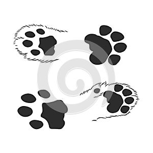 A set of dog`s paws. Black traces in different styles. Isolated on white background. Silhouettes of paws. Vector illustration. ca