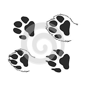 A set of dog`s paws. Black traces in different styles. Isolated on white background. Silhouettes of paws. Vector illustration. ca