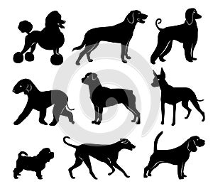 Set of dog silhouettes. vector illustration