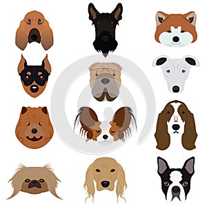 Set of Dog Vectors and Icons