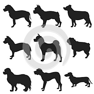 Set of dogs black silhouette