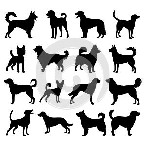 Set of dogs, black silhouettes of dogs breeds isolated on white background. Pets vector illustration