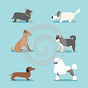 Set of dogs. Cartoon vector illustration. Vet clinic