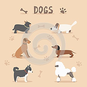 Set of dogs. Cartoon vector illustration. Vet clinic