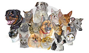 Set of dogs and cats breeds