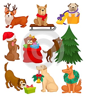 Set of dogs with Christmas elements. Home pets. Winter holidays theme. Flat vector elements for postcard or poster