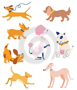 Set of dogs of different breeds. Funny animals. Fluffy Human Pet Friends. Different type of cartoon dogs. Corgi, poodle, mongrels