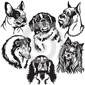 Set with dogs heads photo