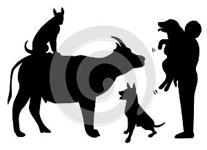 Set of dogs and owner silhouettes