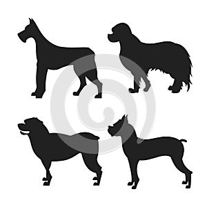 Set of dogs silhouette