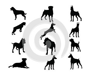 Set of Dogs Silhouette on isolated background