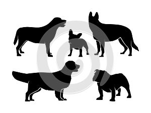 Set of Dogs Silhouette Isolated on a white background - Vector Illustration