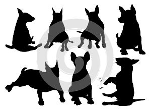 Set of dogs silhouettes