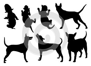 Set of dogs silhouettes