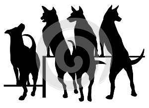 Set of dogs silhouettes