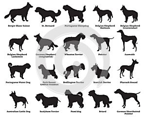 Set of dogs silhouettes-6