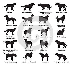 Set of dogs silhouettes-7