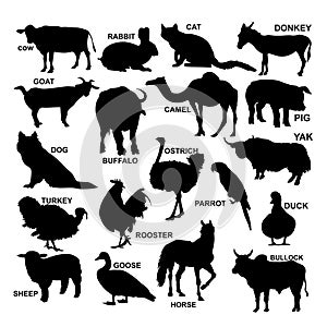 Set of domestic vector animals silhouettes. vector illustration.