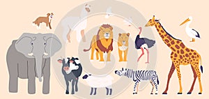 Set of Domestic and Wild Animals Isolated Icons. Elephant and Dog, Alpaca, Pigeons, Lion, Cow and Sheep, Crane, Zebra