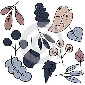 Set of doodle autumn leaves, decorative nature elements, vector hand draw illustration