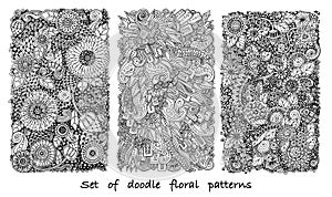 Set of doodle pattern in vector with flowers and paisley.