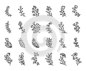 Set of doodles flowers, branches, leaves, herbs, plants