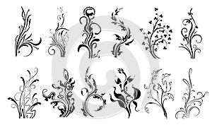 Set of dozen stylish vector floral elements, decorative branches for your design