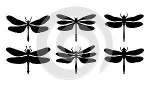 Set of dragonfly black silhouette on white background. Insect vector illustration isolated graphic. Collection drawing cut out and