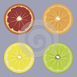 Set of drawing orange  lemon  grapefruit and lime. Citruses vector illustration for poster  card  print  banner  textile.
