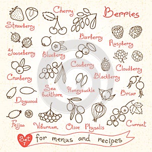 Set drawings of berries for design menus, recipes