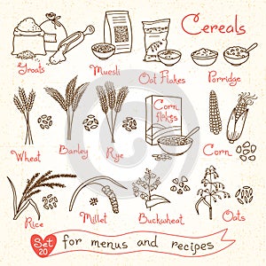 Set drawings of cereals for design menus, recipes and packing. Flakes, groats, porridge, muesli, cornflakes, oat, rye