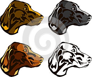 A set of drawings for the dog muzzle logo