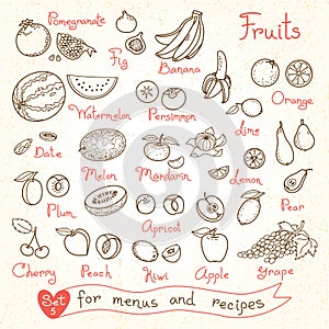 Set drawings of fruit for design menus, recipes photo