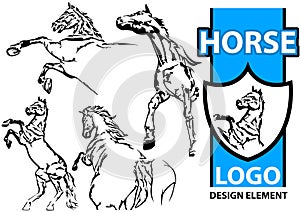 Set of Drawings of Horse as Logo Design Elements