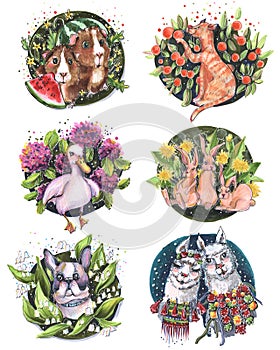 Set of drawings illustrations with markers cartoon style childrens cards animals duck guinea pigs llama rabbits dog cat in circles