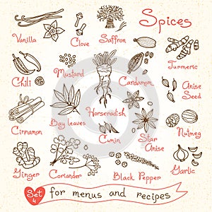 Set drawings of spices for design menus, recipes