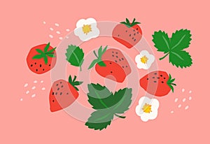 Set of drawn strawberry. Vector illustration. Isolated elements