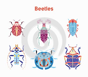 Set drawn vector illustrations beautiful beetles