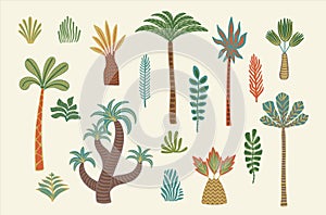 Set of drawn vector palm trees. Modern abstract isolated illustrations. Vector designs