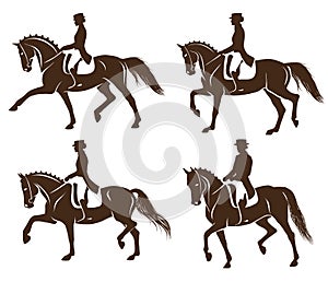 Set of dressage horses with rider