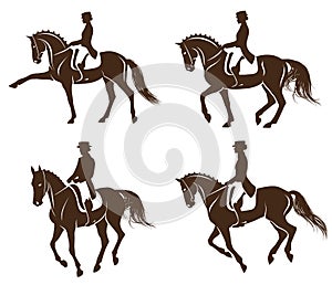 Set of dressage horses with rider