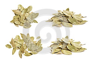 Set of dried bay leaves pile and texture isolated on white